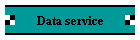 Data service